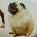 Аватар mezhvagonskyi