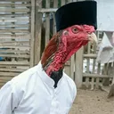 .ggmoura