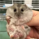 gamercatiscool123 avatar