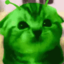 .shibalord
