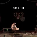 nat_2.1