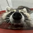 poofygaming