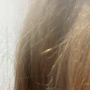 concealedlover