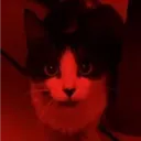 isaachdjndbuneyed