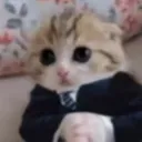 jatrax_ avatar