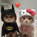 avatar Moonshine ⋆.˚ ☾