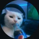imdrez
