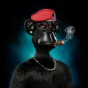 metastreetapehq3848