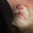 blake4772 member profile picture