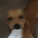 jspider_438461 avatar