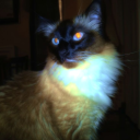 avatar nub