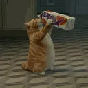 tanvv_