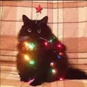 toasty_blanket avatar