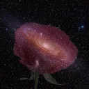 the_nova_group