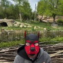 redtaiger_pup