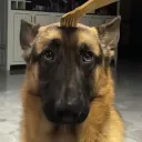 gamer_boy
