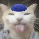 _kasaki__