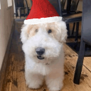 avatar the second maxwell