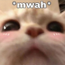 avatar Babyhugs-bear