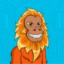 goldenliontamarinclub