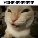 avatar ♤ Akame ♤