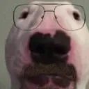 itjustaprankbro