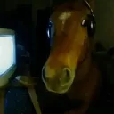 mirandalegal