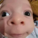 theojdjd