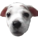 samuelillo_rl avatar