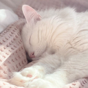 avatar ✧ kaytea ˖ °