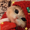 avatar ✧ kaytea ˖ °