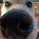 artur_typodrzew avatar