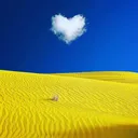 petcoin_ukraine