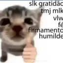 jip_veigas