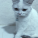 avatar } s (sss[s - 1]  !=  ' . ' )  {