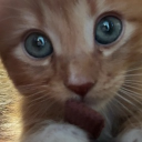 fym.lost#8342's avatar