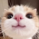 avatar 𝐿𝒾𝓃𝒶