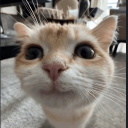 avatar 𝐿𝒾𝓃𝒶