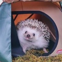 johnjohn55555's Avatar