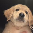 avatar 𝓐𝓷𝓽𝓸𝓷𝓮𝓵𝓵𝓪