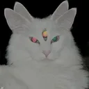 onyxxxyx