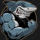 requin25_8