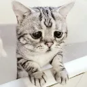 borisonchik_yt