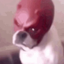 mayray_4's Avatar