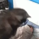 theoneanonly2248 avatar