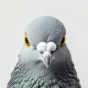 PigeonX2