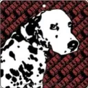 loudog