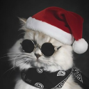 avatar بعلوق….