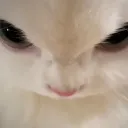 jsxyzai