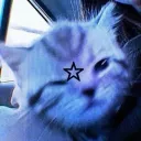 that_1_black_cat